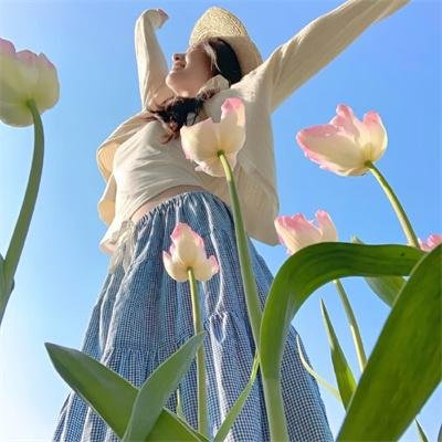 二龙湖浩哥之风云再起