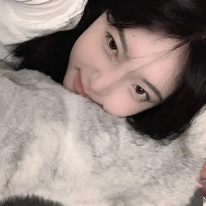 莫丽的朝圣